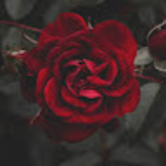 Revital Abdurahmanov