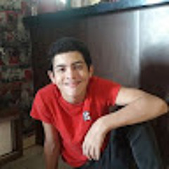 Paulo Eduardo N. Arantes