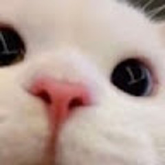 Yukoman