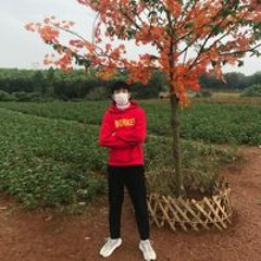 Lê Văn Lực