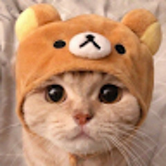 Sh1ba