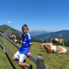 Brian De Meulmeester