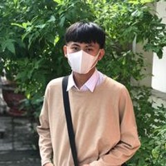 Hoang Phi