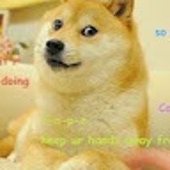 User 49251996