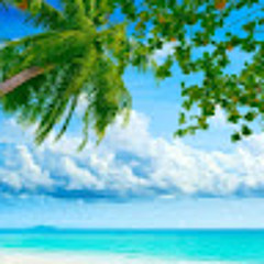 محمد عبد التواب