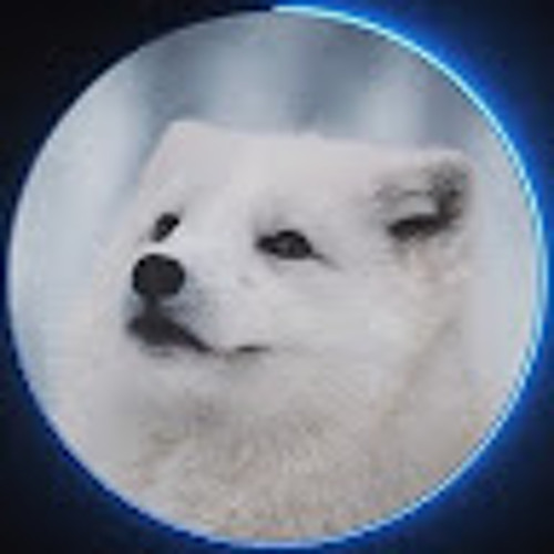 Arctic AES’s avatar