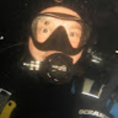 Andrew Eckman