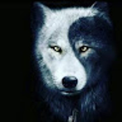 Jorge Antonio Dj Lobo