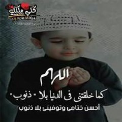 عبدالله الشربينى