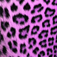 _mmari2