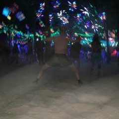 Dan Brain