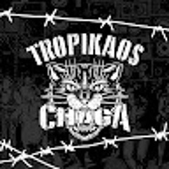Tropikaos Chaga
