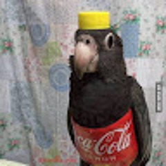 Микола Васьків