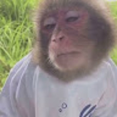 BreadGangLilCuz-GunManLand-SettDiss/Unreleased.mp3