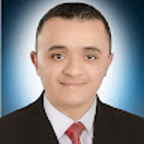 ayman gerges’s avatar