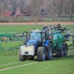 beyerlino190