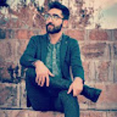 Alireza Mehdili