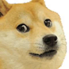 Doge