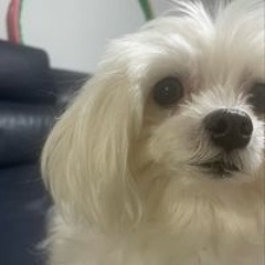김관우
