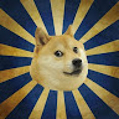Doctor Doge