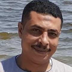 عصام رضا عفيفي