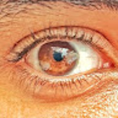 wael