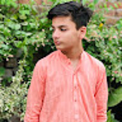 Sameed Ulaser