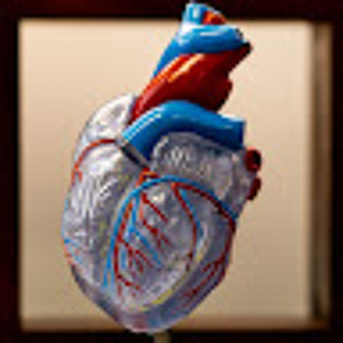 Heartcare Sydney’s avatar
