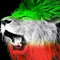 Ali Reza