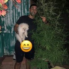 לירן ארביב