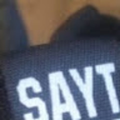 Sayt