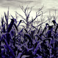 Darien