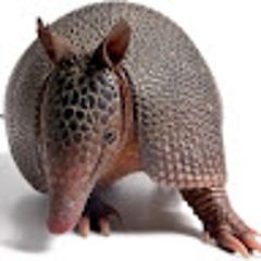 Kenedian
