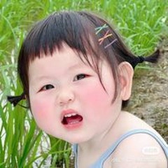 Bin Trần