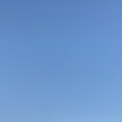 ばく