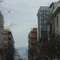TM_ Ricca
