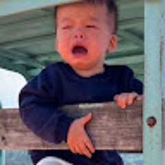 Đinh Mai Chi