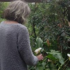 Deb Baxter
