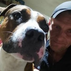 Александр Майстренко