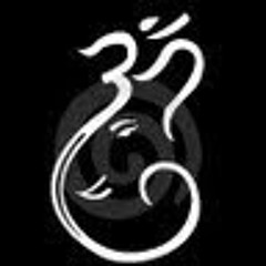 User 54279243