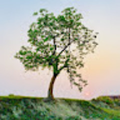 Prabhdeep Singh