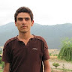 reza zabihi