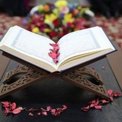 Menna Harb