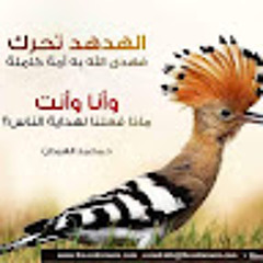 Abo Aljood