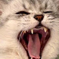 DeksyTheCat