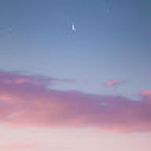 All Not Misery POD B