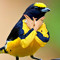user24291987