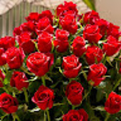 سميحة الغالي