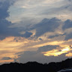 vvs