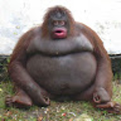 Noah Hornikel